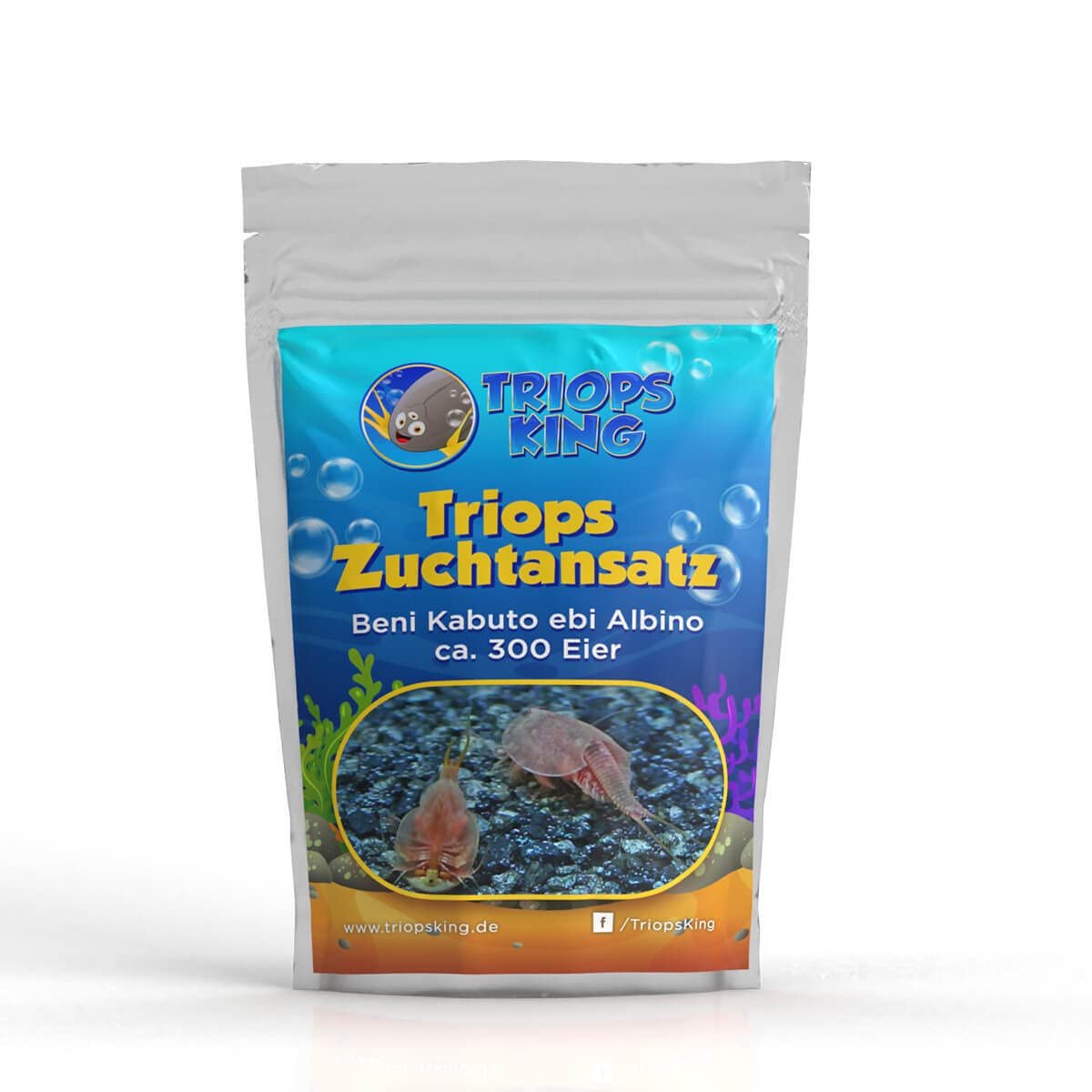 Triops Beni Kabuto EBI Albino - Grasso di allevamento ca. 300 uova