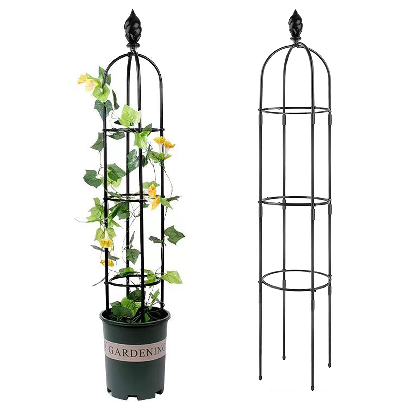 Buy 6 Feet Garden Trellis for Climbing s,1Pcs Metal Garden Obelisk