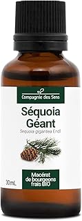 Séquoia Géant BIO - 30mL - (Sequoia Giganteum) – Macérat concentré de bourgeons frais