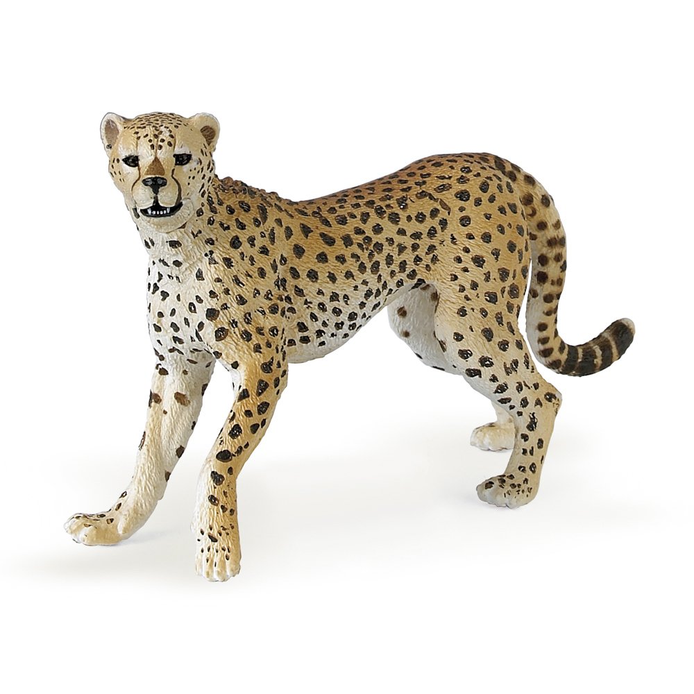 Amazon | PAPO (パポ社) チーター 【50020】 Wild Animals
