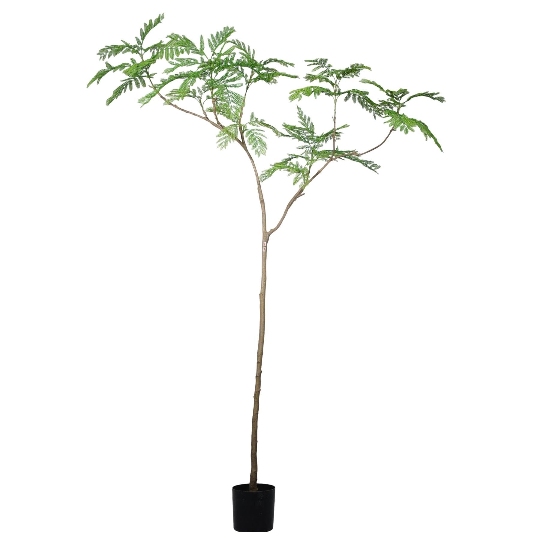 Botanik Artificial Jacaranda Tree - 8ft - Green