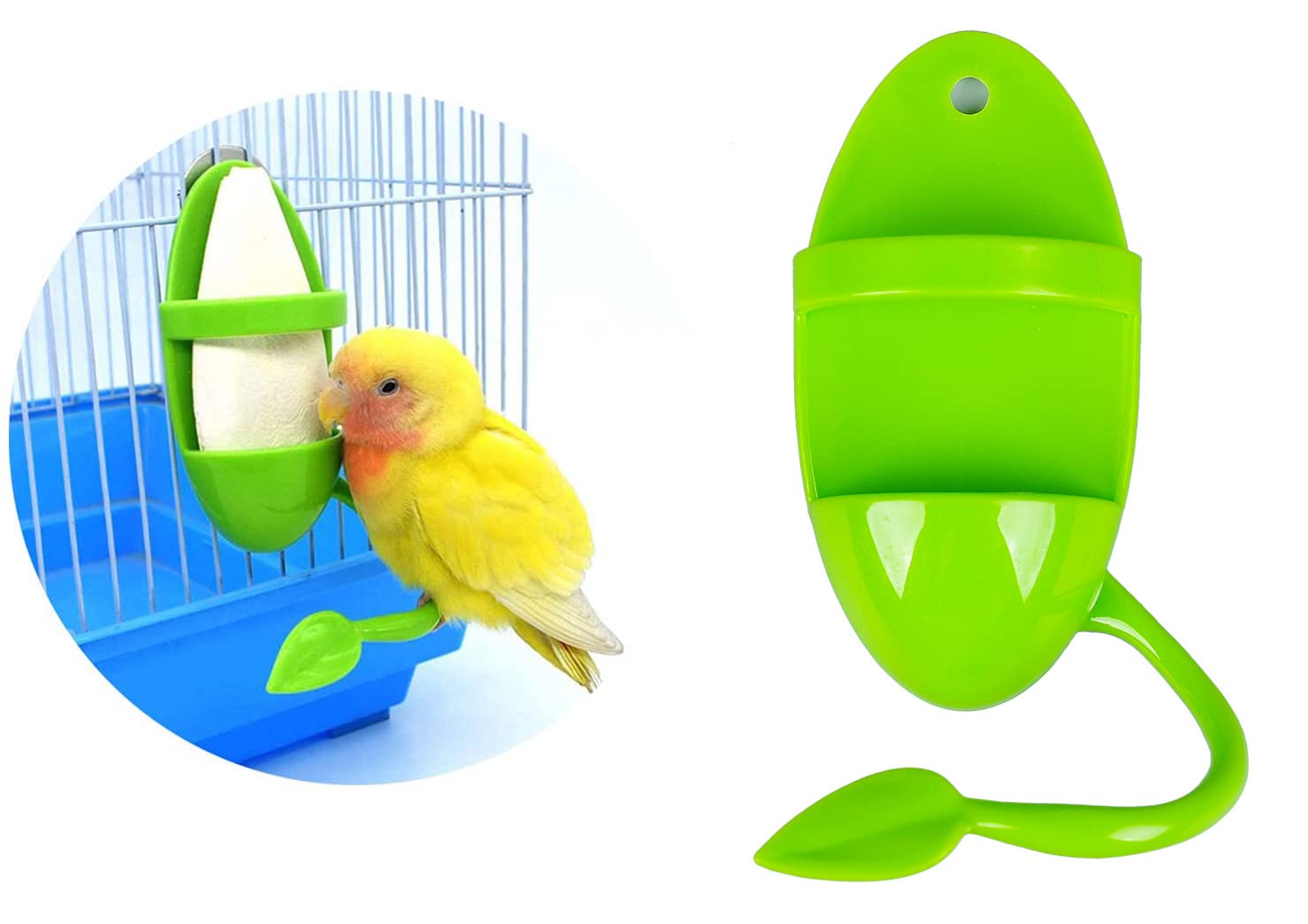 2pcs Plastic Pet Bird Cuttlebone Holder Food Holder, Cuddle Bone Feeding Racks, Cuttlebone Holder for Cockatiels Parakeets Budgies Finches Green - image 3