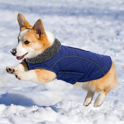 Miniatura 6 de EMUST Chamarras para perros, talla pequeñamedianagrande, abrigo de invierno para perros grandes, azul oscuro, XL