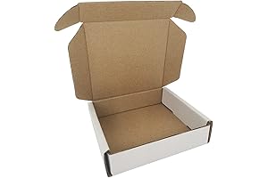 ROTCH 4x4x1 Shipping Boxes: Unparalleled Protection for Small Shipments