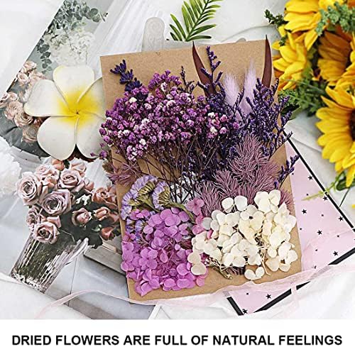 Tomedeks Natural Dried Flowers Dried Embossed DIY Preserved Flowers Resin Jewelry Nails Crafts Scrapbooking Floral Decor (G)