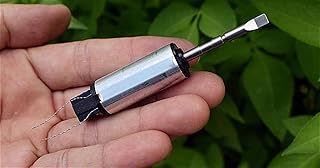 GRASAKY Model Geared High Frequency Vibration Motor, Magnetic Suspension Motor with Double Ball Bearings, Ultrasonic Motor for Electric Toothbrush Rotating Torque (Size : A Cylindrical Type)