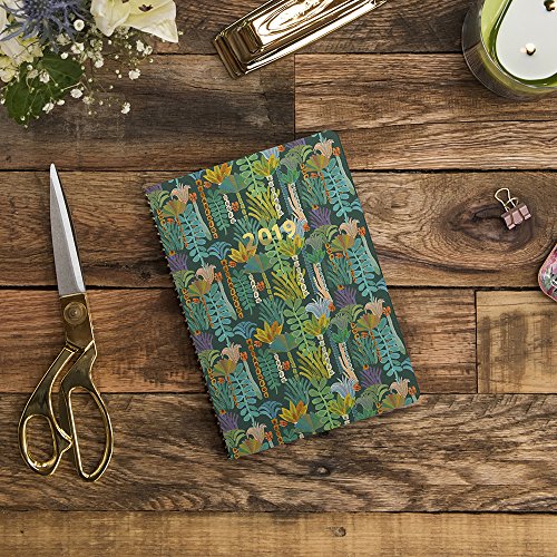 Orange Circle Studio 2019 On-Time Weekly Planner, August 2018 - December 2019, Botanicals #TOP1