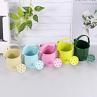 Vista 8 de DOITOOL 5 macetas de agua de jardinería: mini latas de riego de hierro (estilo mixto)
