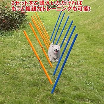 Amazon | ドッグ アジリティ 犬用 障害物 自立式 ミニハードル 6