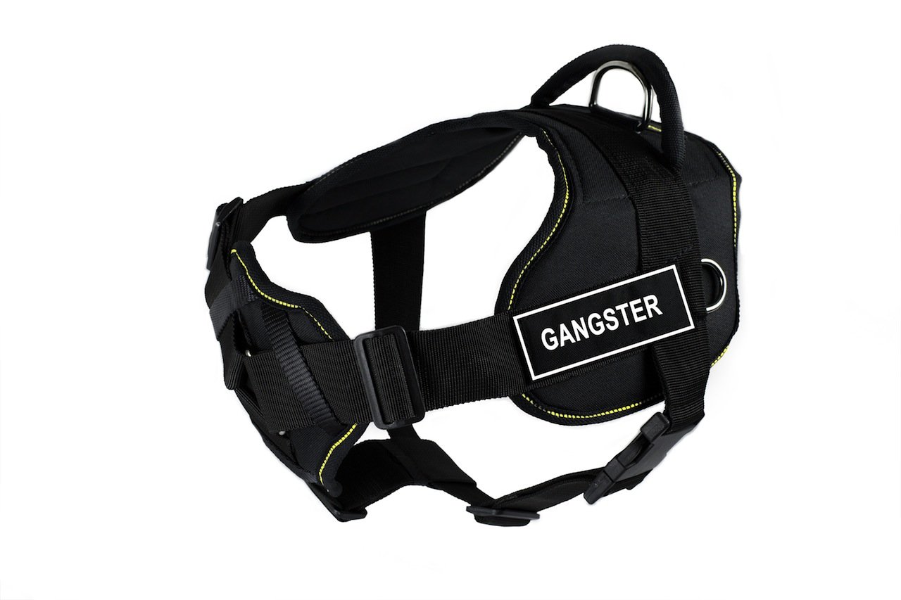 Harnais de poitrine matelassé noir et jaune ajustement précis de 22 à 68,6 cm