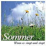  Sommer: Wenn es singt und zirpt