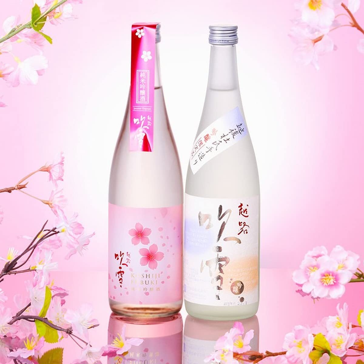 Amazon.co.jp: 春限定 日本酒 飲み比べ セット 純米吟醸 吟醸酒 越路 