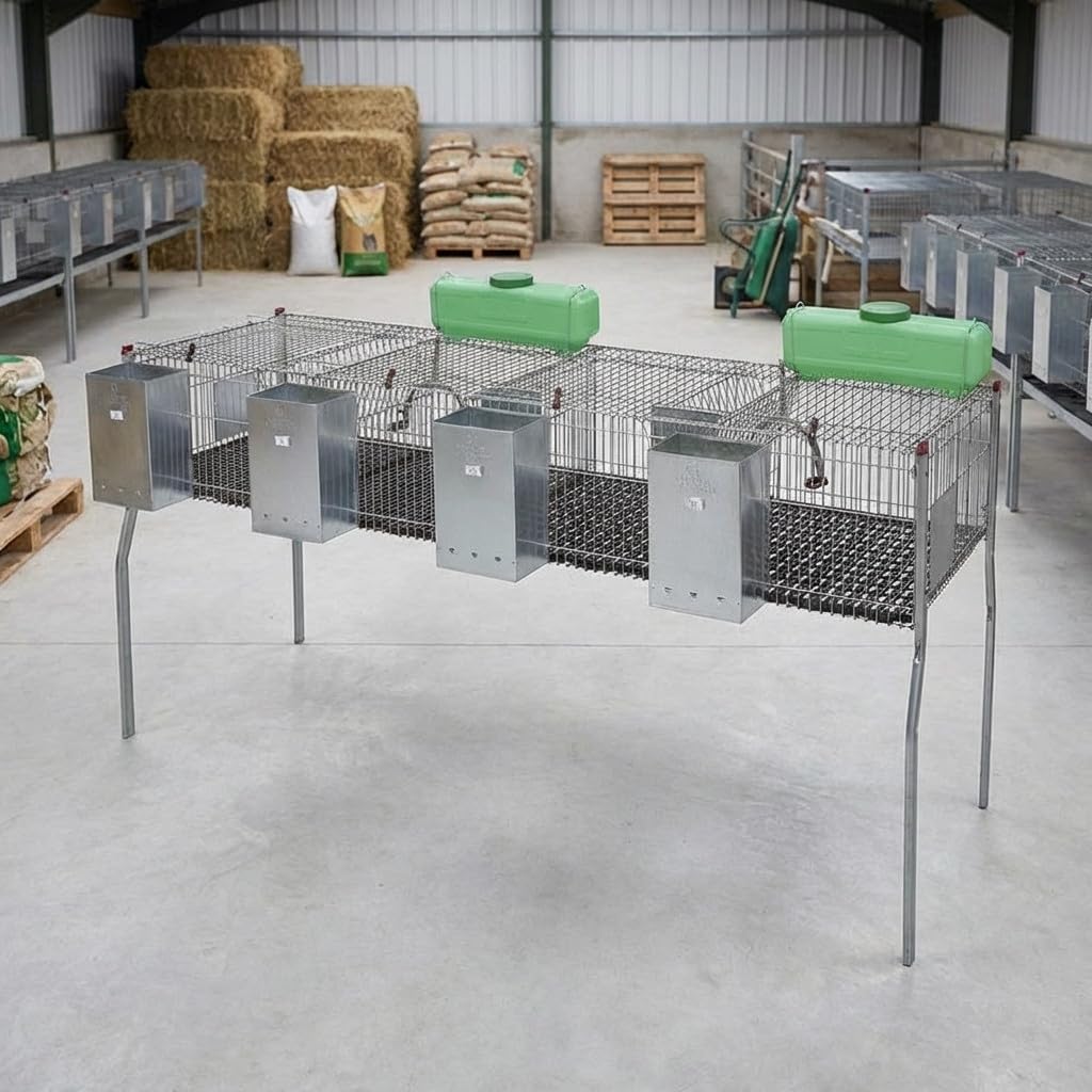 Suinga Gabbia XL per conigli con 4 scomparti e pavimento in plastica, 200 x 62 x 99 cm
