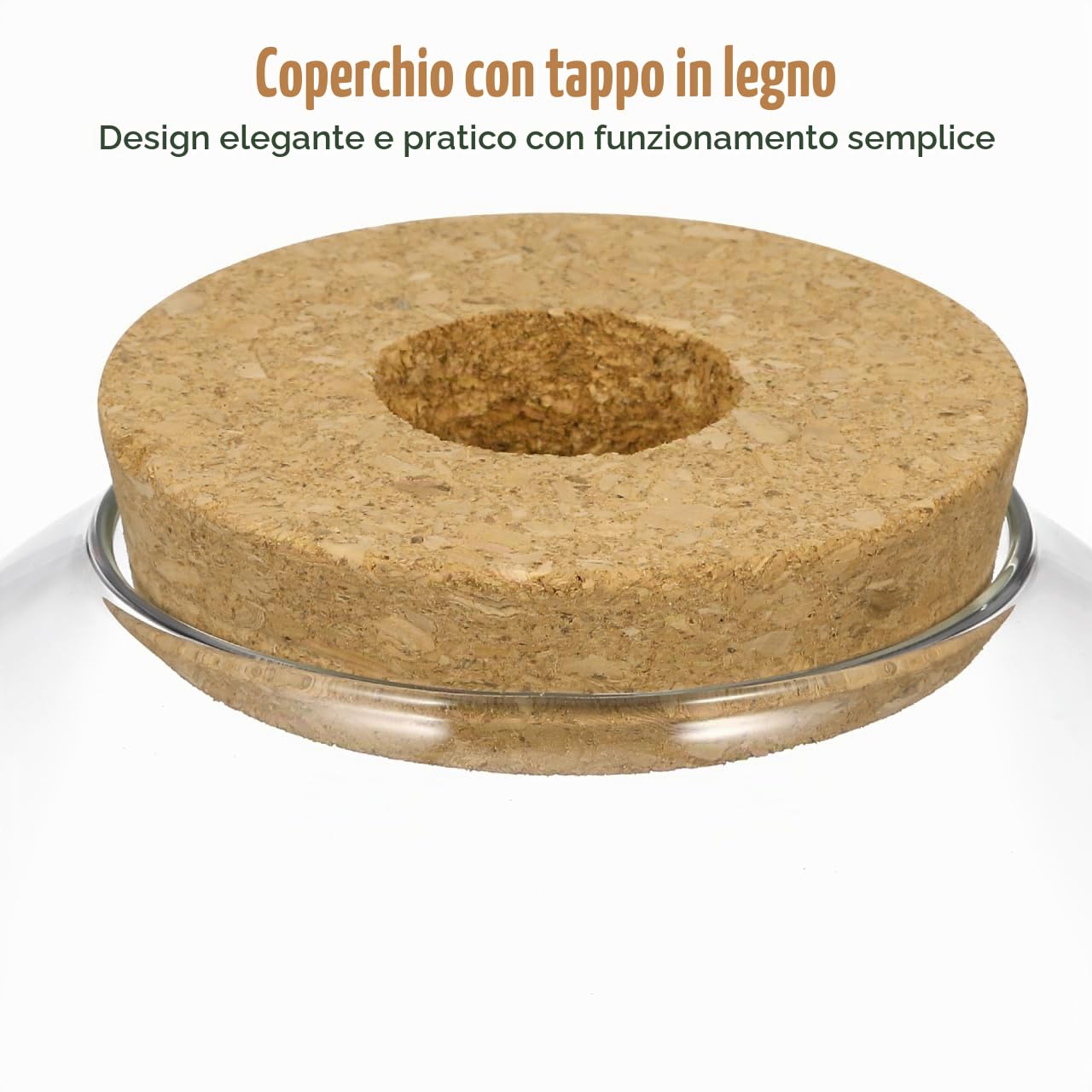 ULTECHNOVO Vaso Per Terrario in Vetro Con Tappo in Sughero Contenitore Per Piante Idroponiche E Micro Paesaggi Bottiglia Decorativa Per Piante Succulente Felci Bromelie Decorazione Casa Ufficio