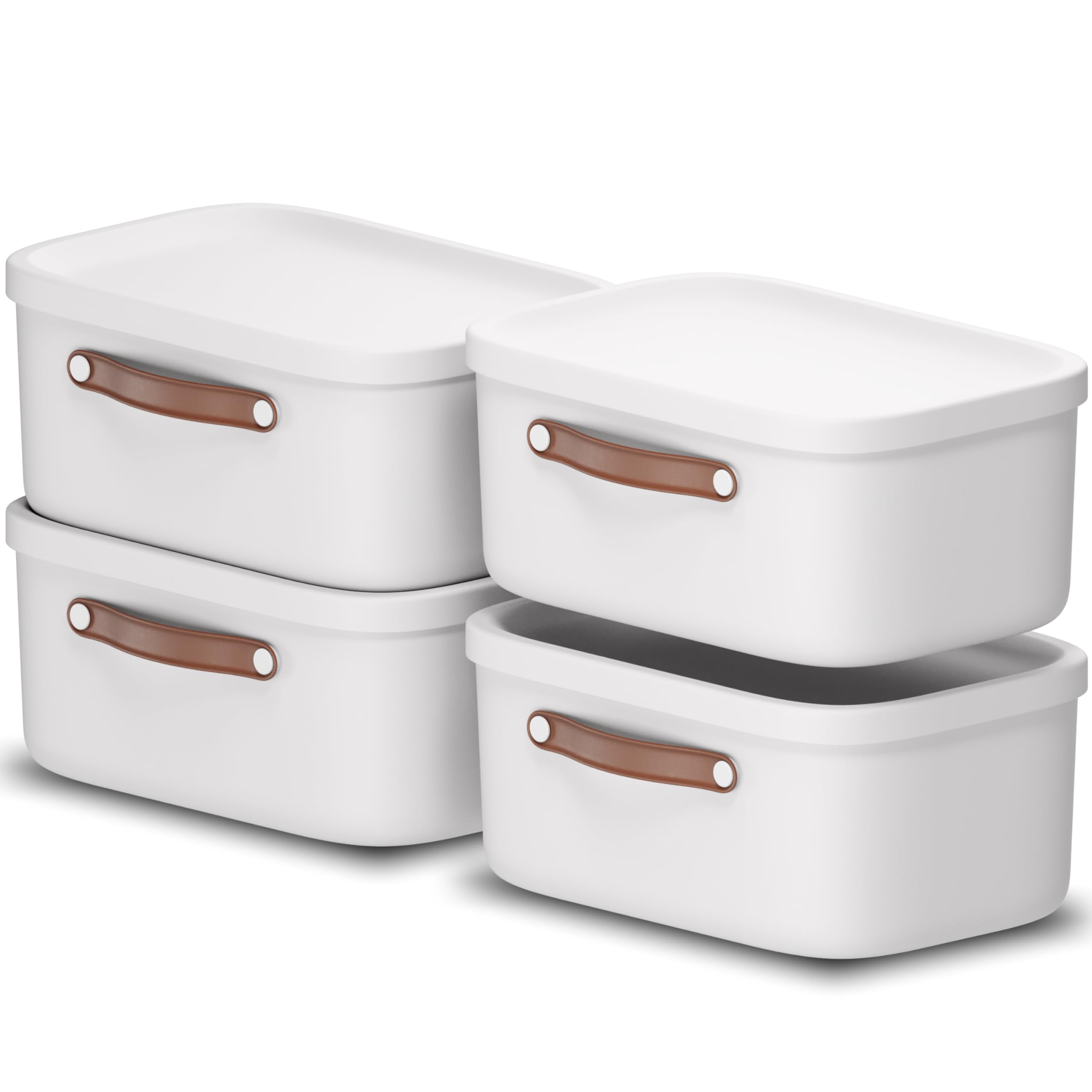 Rotho Maloja Storage Box