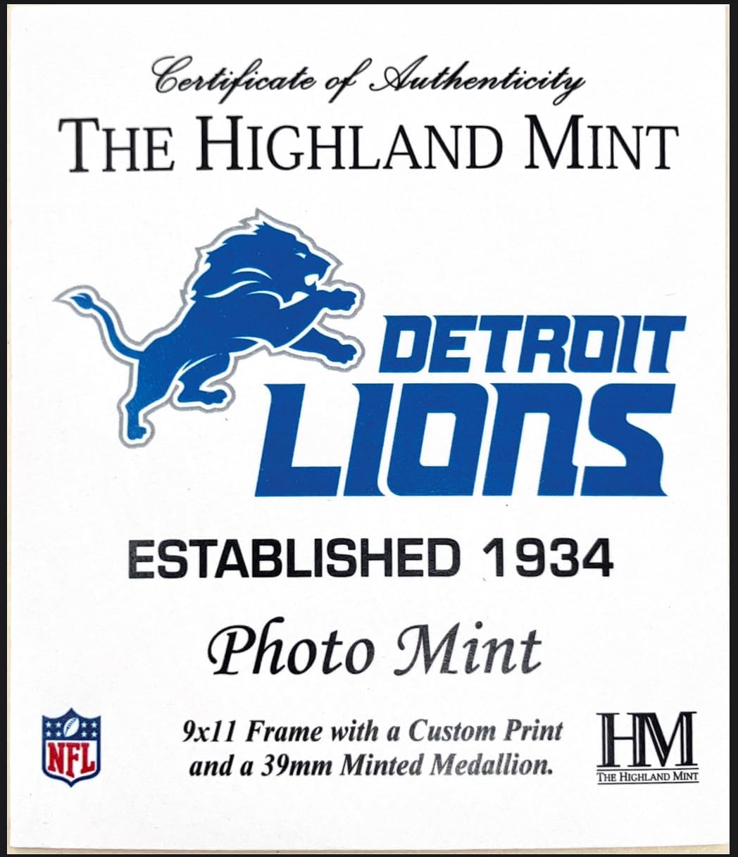 Highland Mint NFL Detroit Lions 9" x 11" Stadium Coin Photo Mint