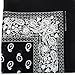 Novelty Bandanas Paisley Cotton Bandanas (Black, 22 X 22 in)