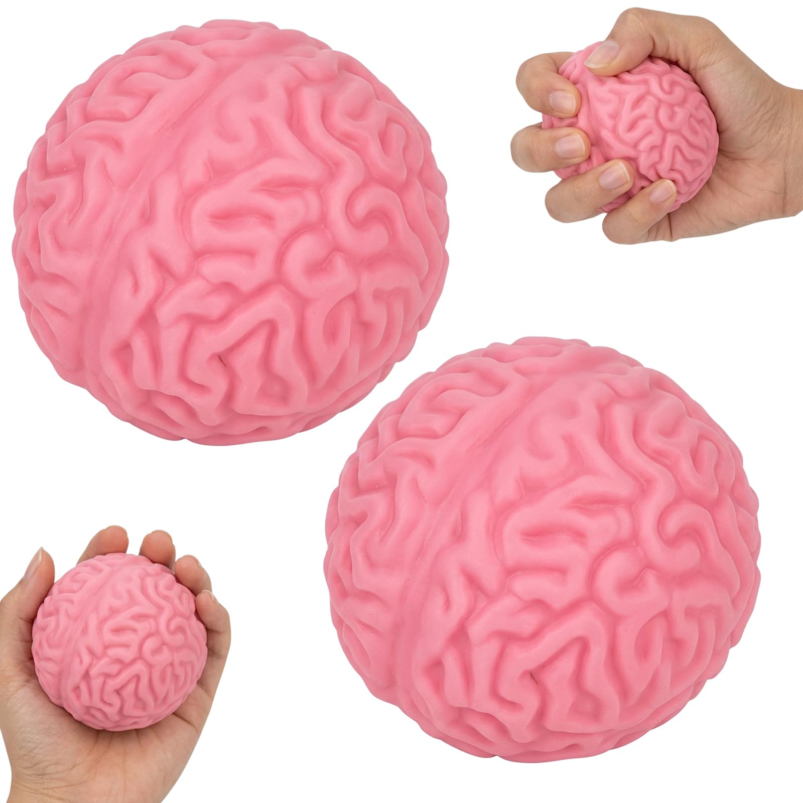 suction 2 PCS Brain Squishy, Big Squishy, Intriguing and Soft, Ideal for Home, Office Desk Decor and Decoration Enthusiasts, Natural - looking