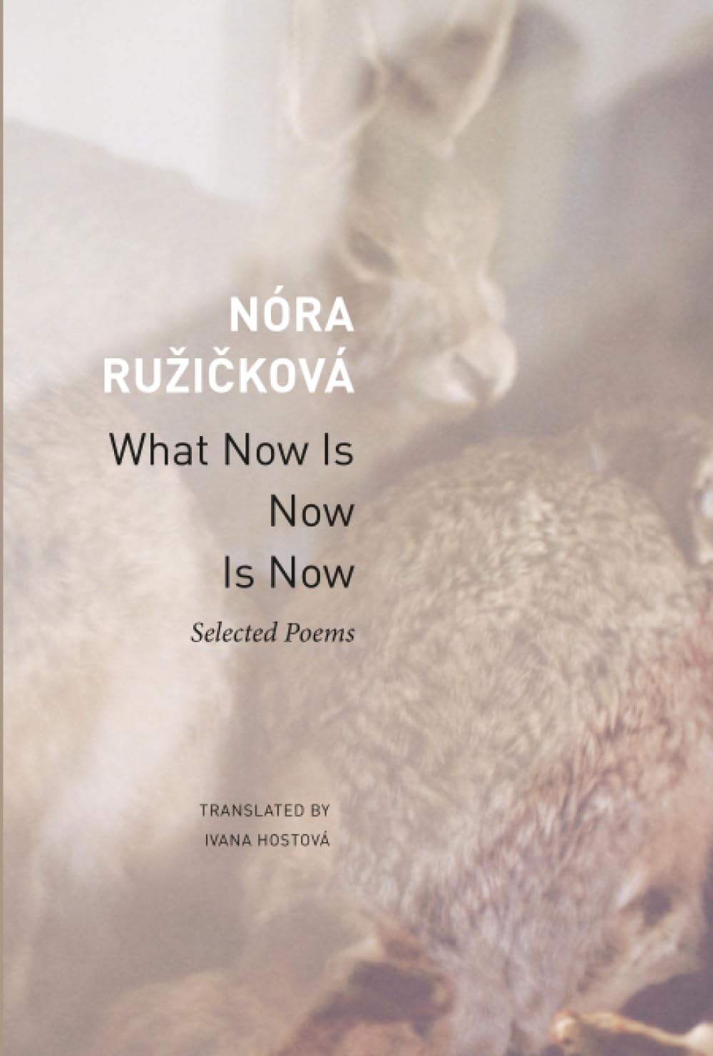 What Now Is Now Is Now by Nóra Ružicková PAPERBACK 9781803095653