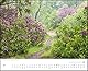 Wege in die Natur 2022 – Wandkalender 52 x 42,5 cm – Spiralbindung
