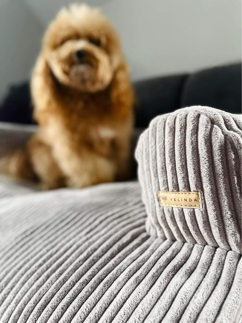 Cuccia Divano Letto per Cani Animali Domestici Cuscino Lettino Morbido (Colore: Grigio (Velluto a Coste))