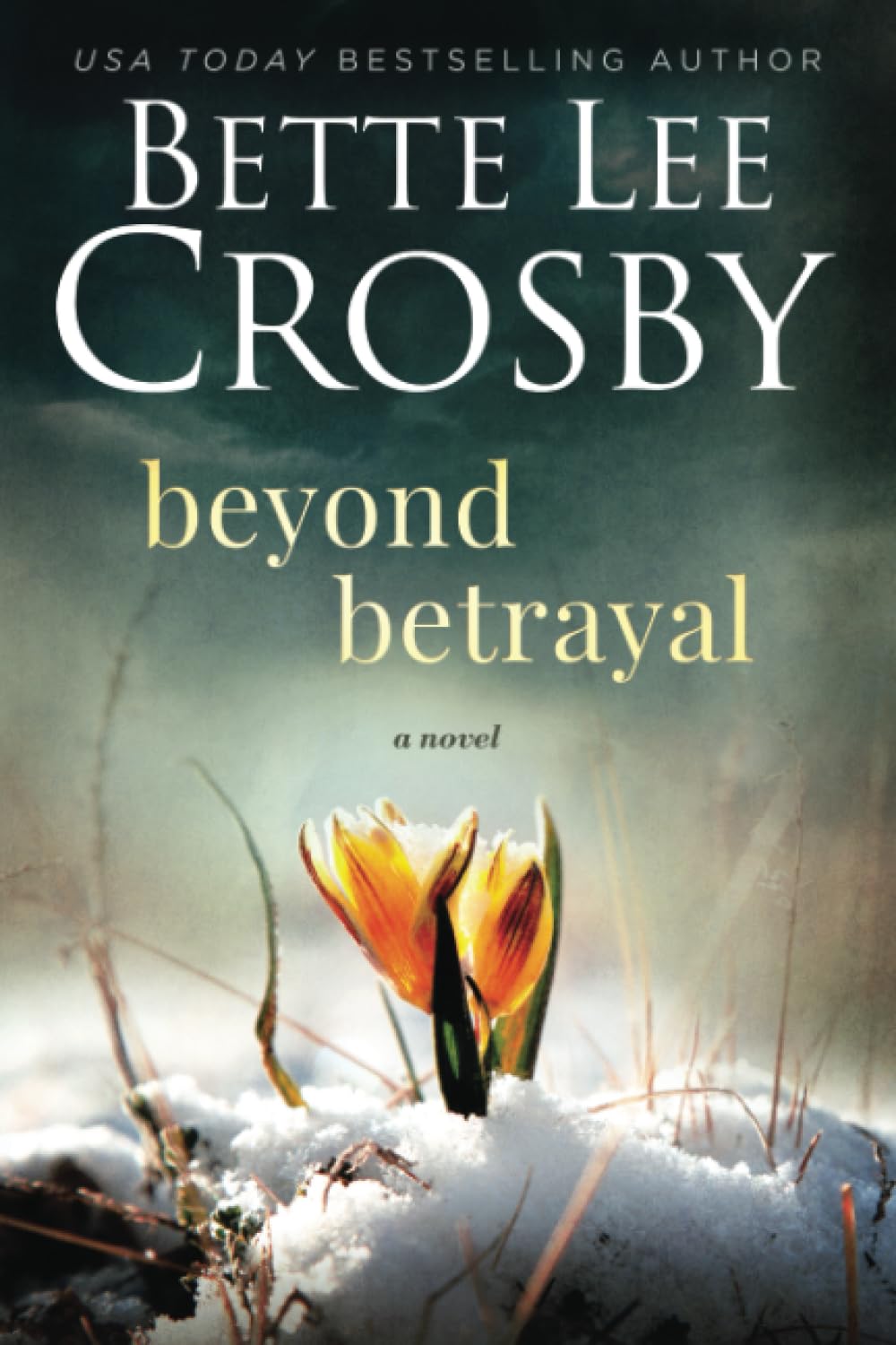 Beyond Betrayal A Novel 9798985953367 Crosby, Bette Lee