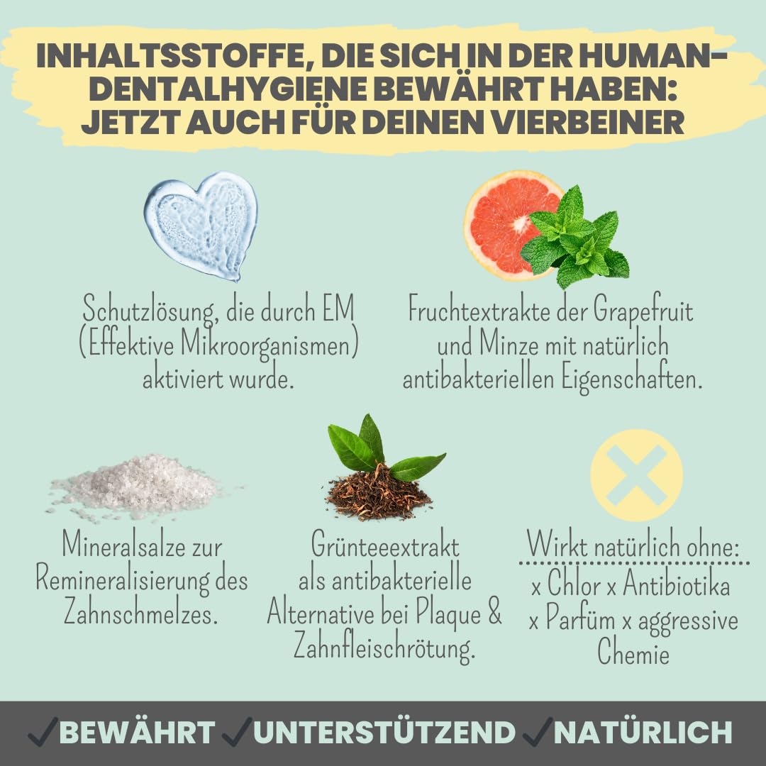 noms+ Dental-Spray für Hunde & Katzen [Jahresvorrat] Spray entfernt Zahnbelag 100% natürlich, gegen Zahnstein, Mundgeruch, Plaque zur Zahnreinigung & Zahnsteinentfernung - frischer Atem