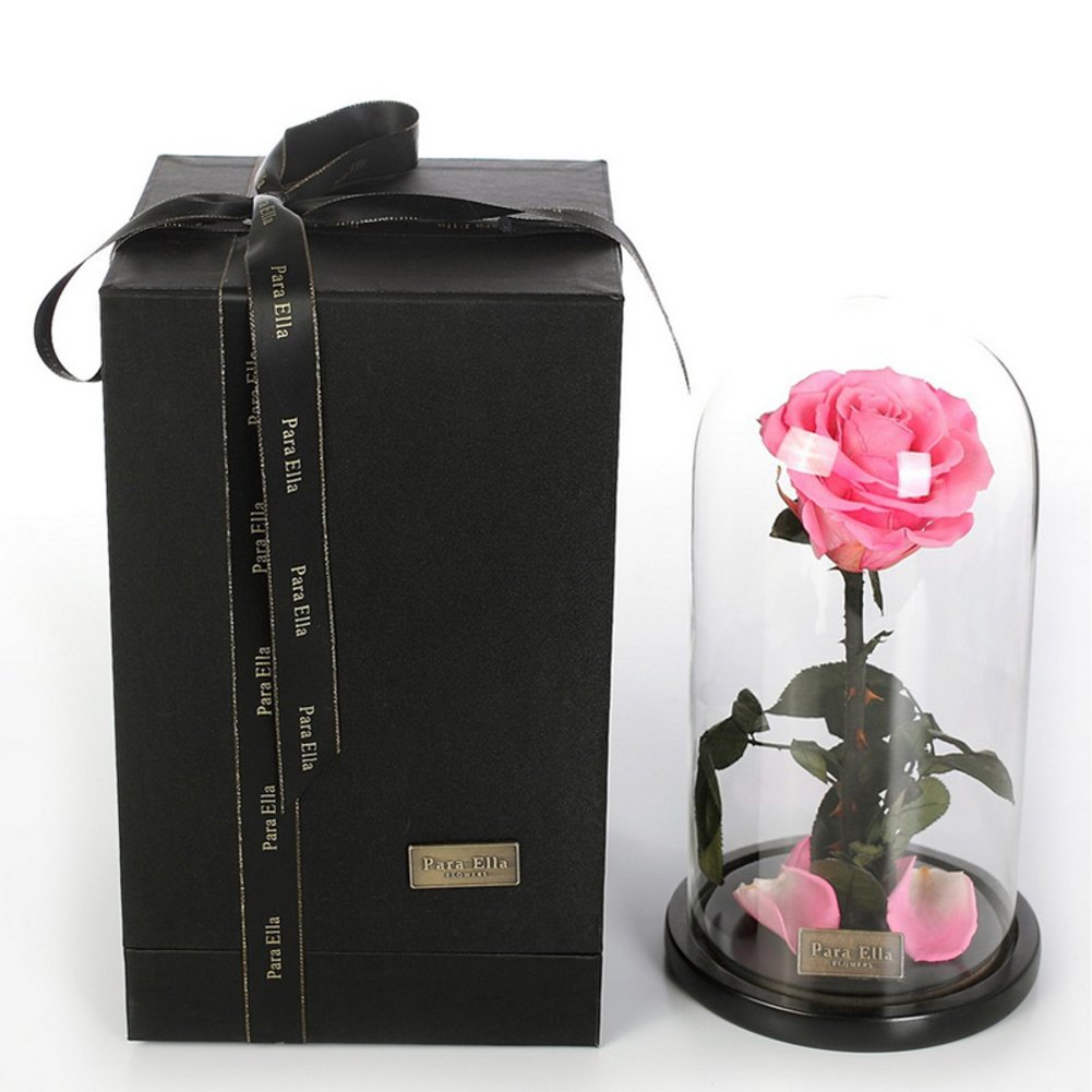 Fleur immortelle sous boîte de couverture en verre de qualité supérieure