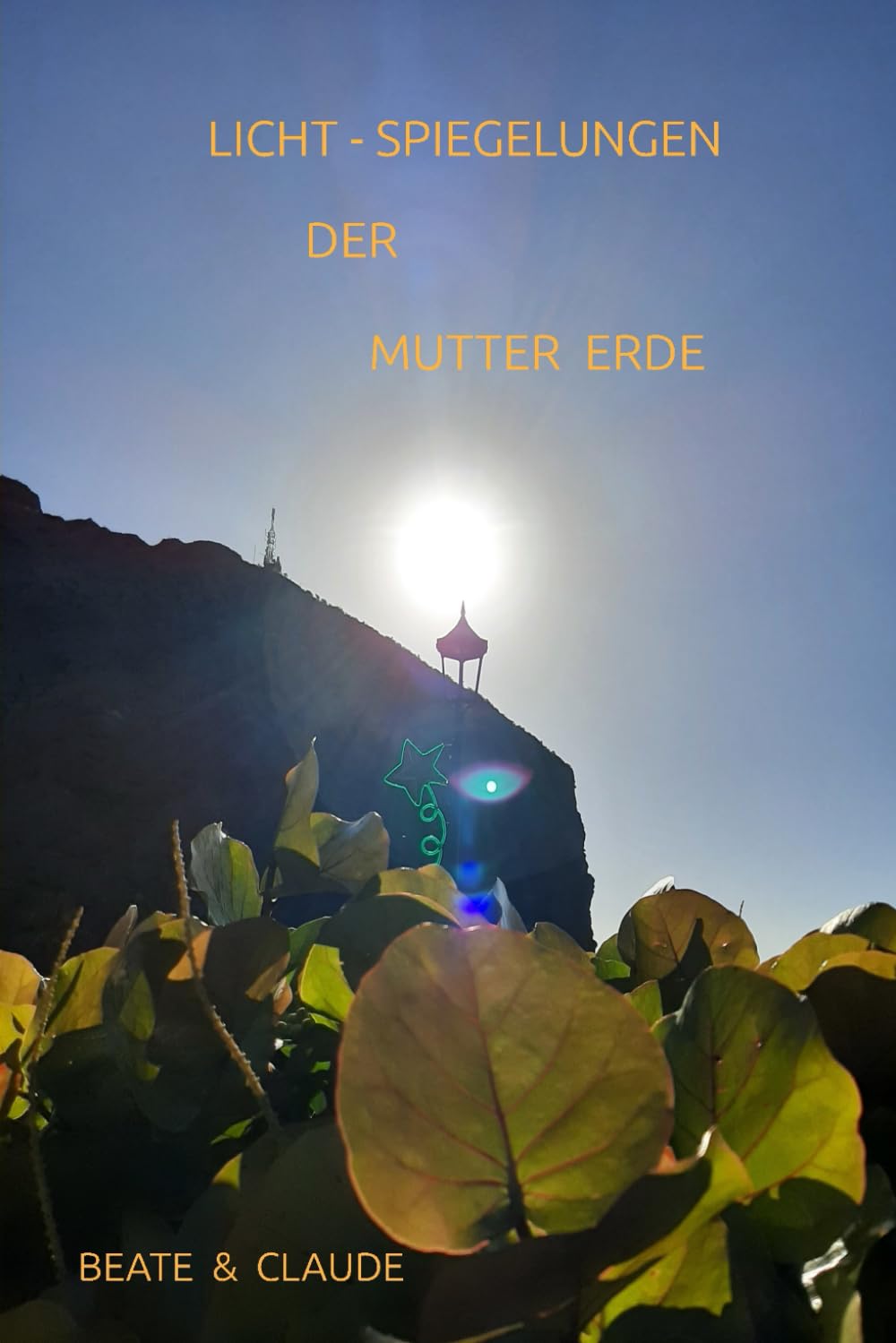 LICHTSPIEGELUNGEN DER MUTTER - ERDE (UR - PULS - CHRONIKEN das NEUE MITEINANDER)