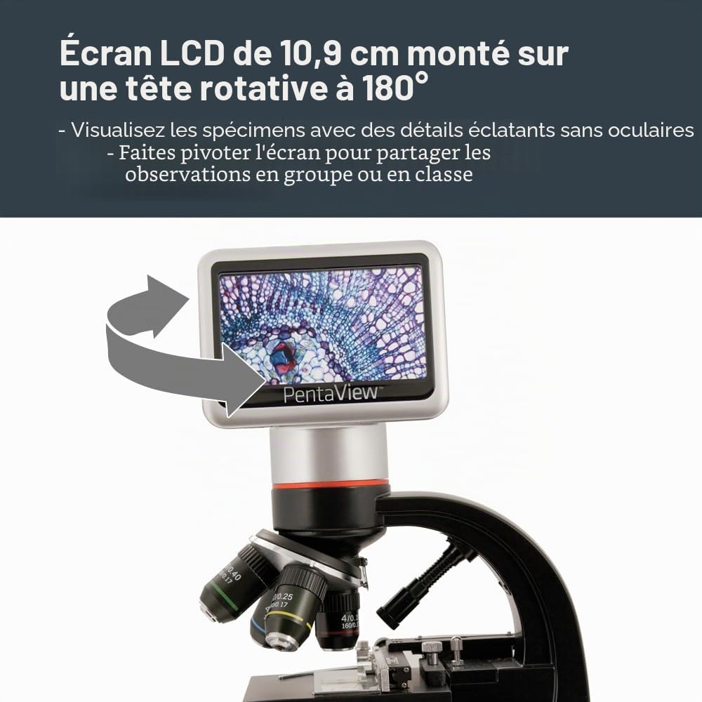 Celestron 44348 Microscope numérique PentaView à écran LCD, grossissement 40x-60x, noir/argenté
