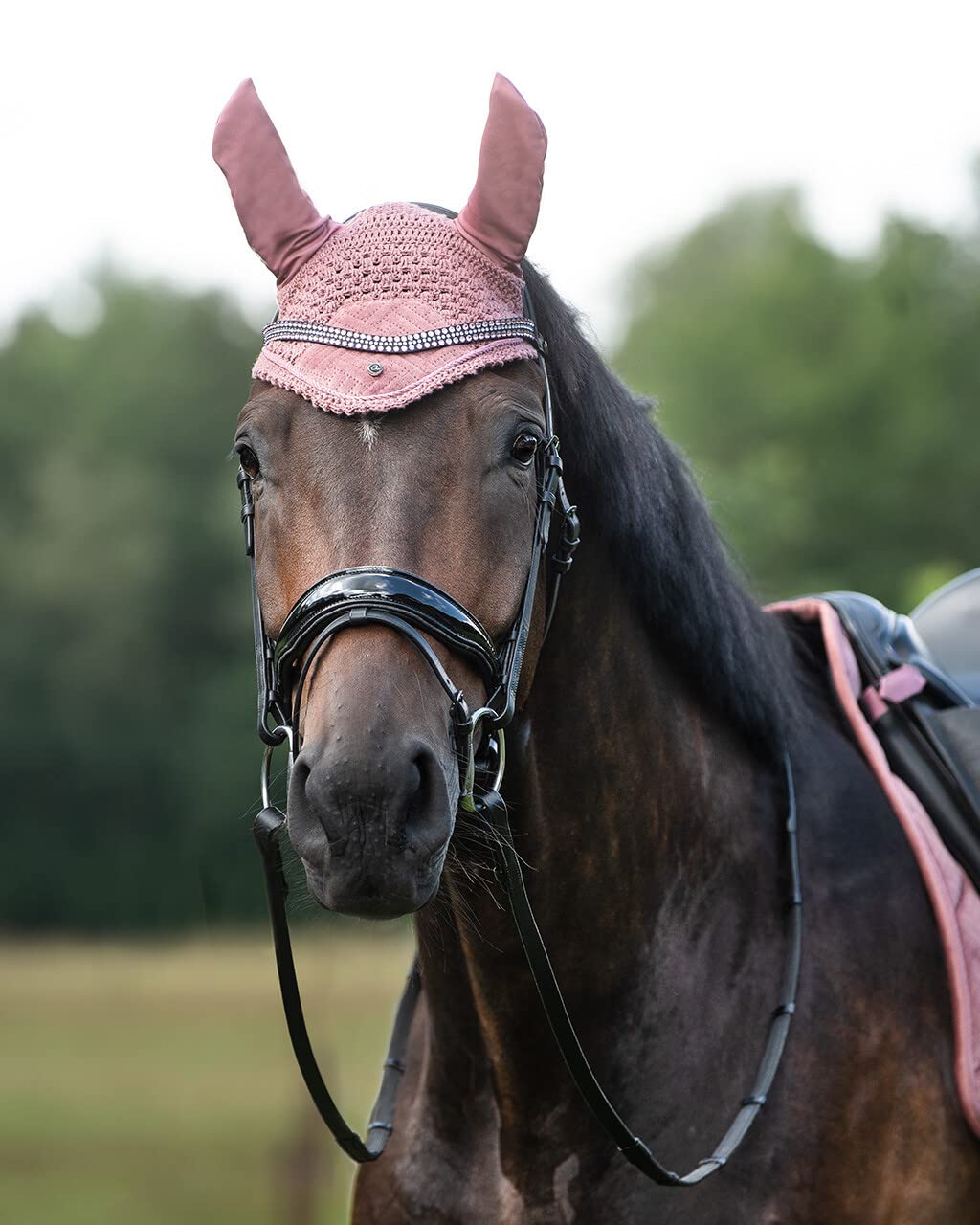QHP Stirnriemen Collection Blush rosa Silber FS/23