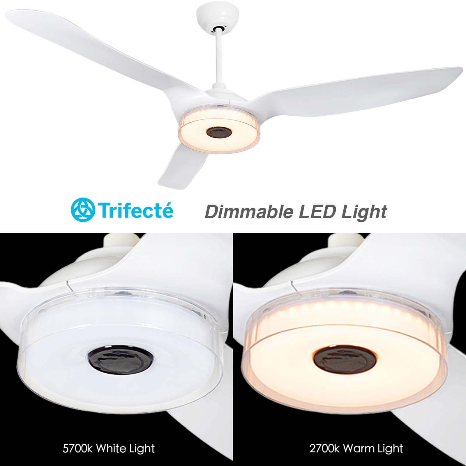 Trifecte 60 Inch Indoor&Outdoor Ceiling Fan with Light and Remote