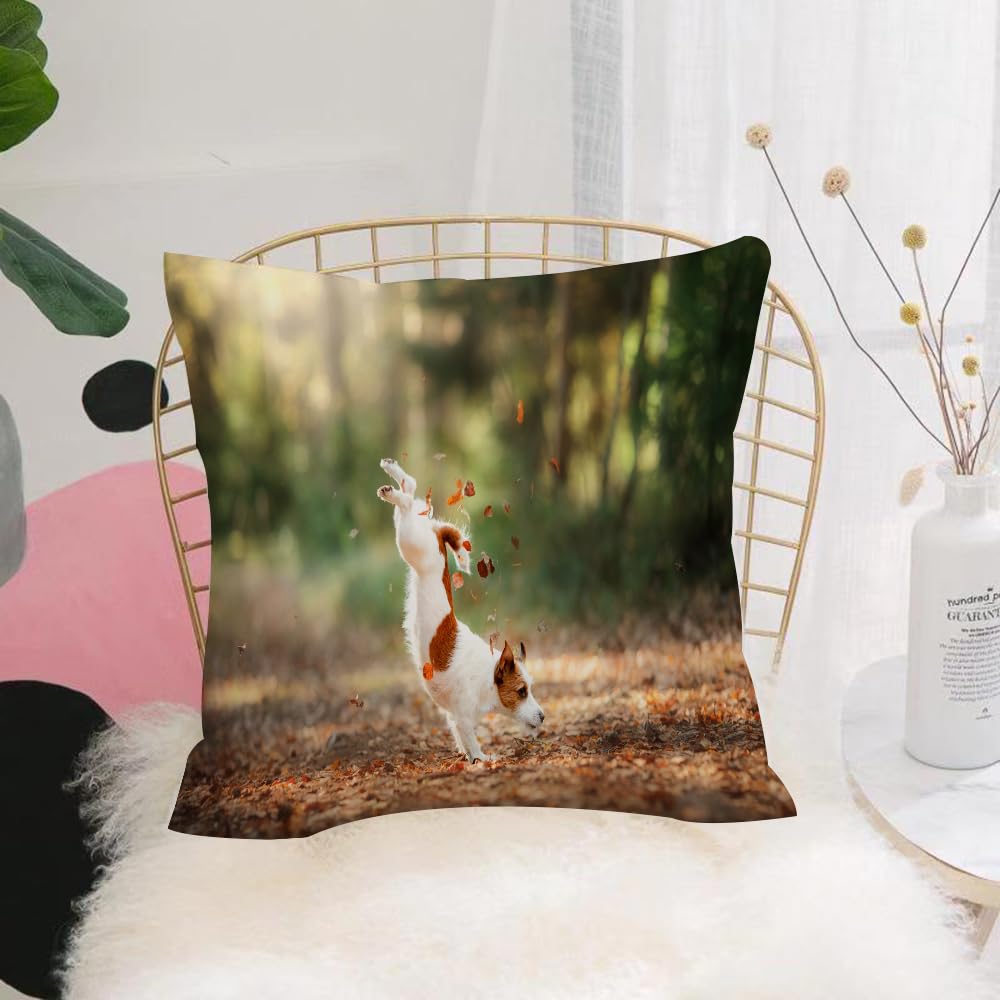 HYMSXW Cushion Cover,Throw Pillow Case Home Decorative for Living Room Bedroom Sofa Chair 20X20 Inch,Dog Jack Russell Terrier jump over the leaves autumn mood,Pillowcase 50X50cm