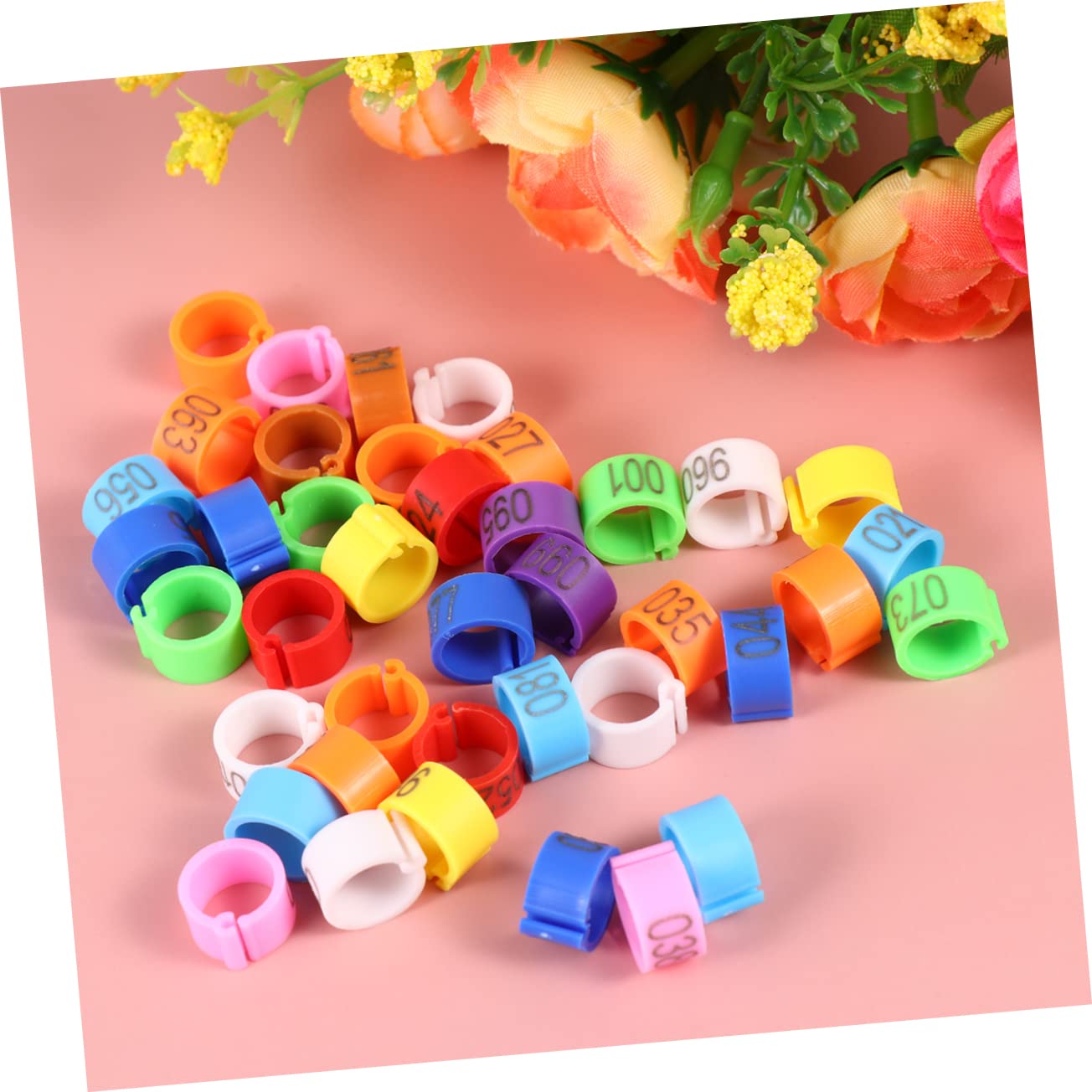 POPETPOP 3 Set di Zampe di Piccione in Plastica da 8 Mm per Lidentificazione degli Uccelli Vivaci per Piccioni Calopsitte Parrocchetti Pappagalli 100 Pezzi * 3