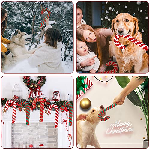 ZDQC 3 Stück Hundespielzeug Zuckerstange - Kauspielzeug, Seil Aus Baumwolle, Weihnachts-Hundespielzeug