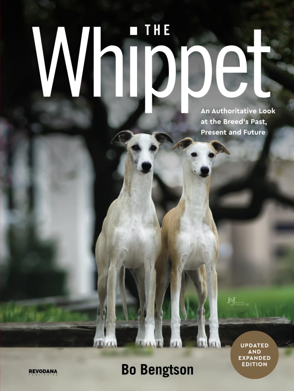 The Whippet: An Authoritative Look at the Breed’s Past, Present and Future      Hardcover – April 22, 2024