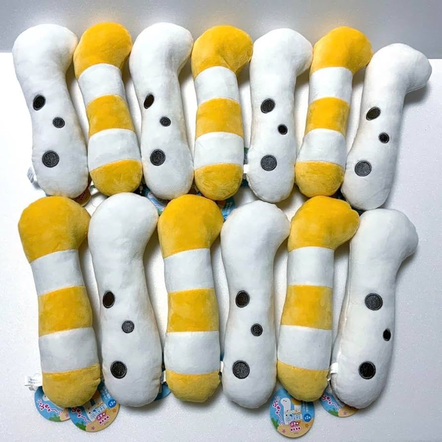 Amazon.co.jp: つぶらな瞳の水族館 ぷきゅ にしきあなご チンアナゴ 13