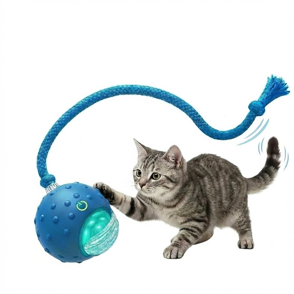 Jouet interactif à rouler pour chat d'intérieur AWISH tapis