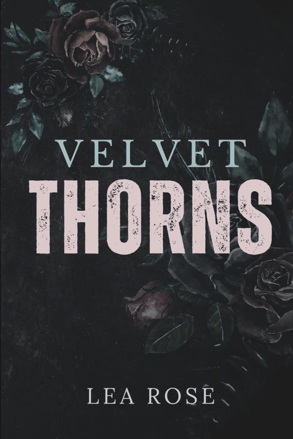 Velvet Thorns (The Broken Devotion Duet)