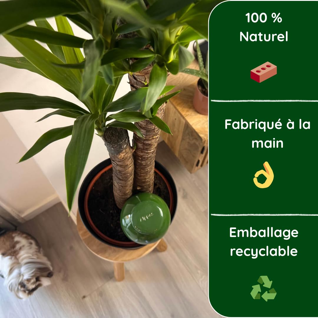 2 Oyas à Planter 0,8 Litre Vert en Terre Cuite avec Couvercle - ollas pour Plante intérieure et extérieure - Goutte à Goutte par capilarité