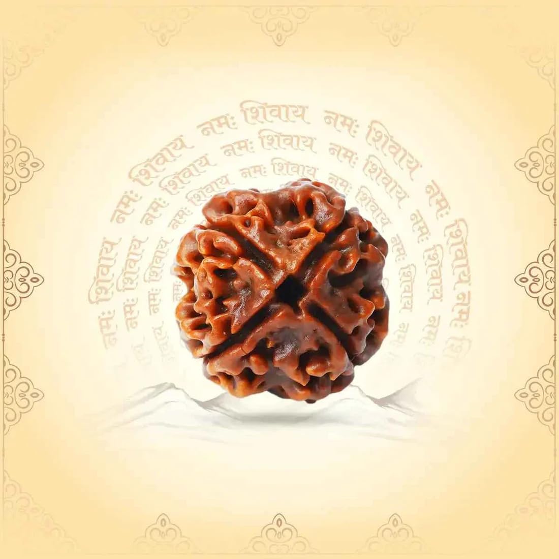 4 Mukhi Rudraksha - Nepal Origin | Wisdom & Communication -3 4 Mukhi Rudraksha - Nepal Origin | Wisdom & Communication -3