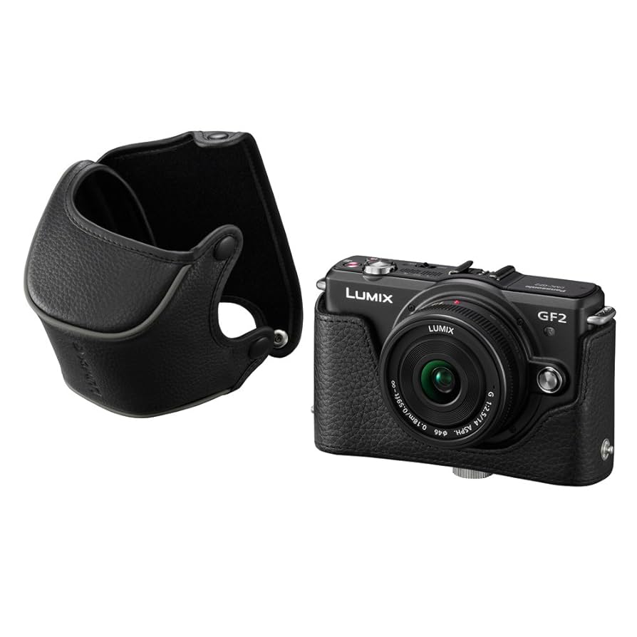 Amazon.com : Panasonic DMW-CGK1PP-K Contoured Leather Case