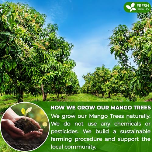 Image of FreshDrinkUS, Premium 1.3oz Mango Leaf Powder, 100% Natural and Pure Mango Leaves. Loose Leaf Mango Herbal Tea. Mango Leaf Tea. No Sugar, No Caffeine, No Gluten, Vegan.