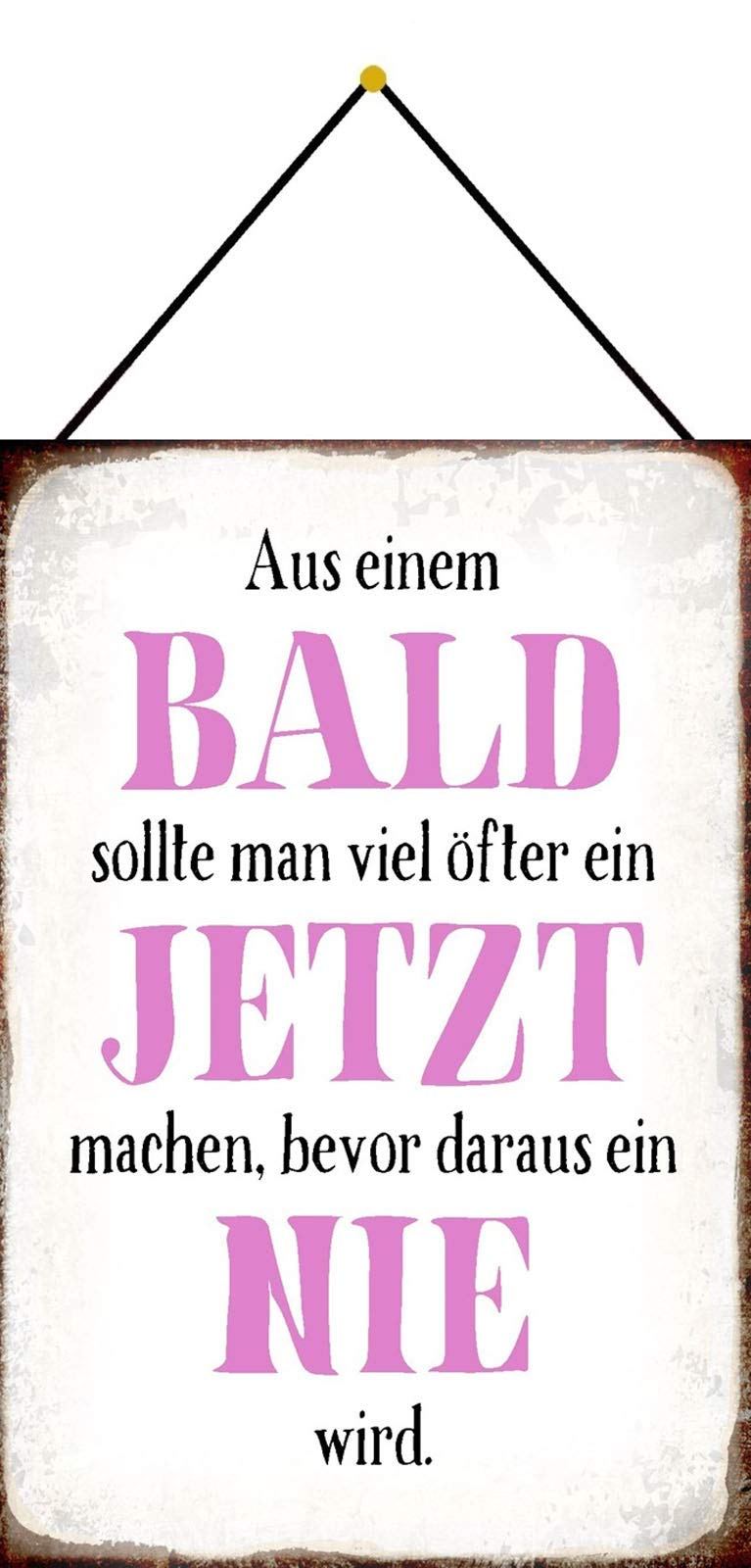 Blechschild Ruhestand Spruch 30x20cm - 'Ich Mach Alles Später Oder Nie!'