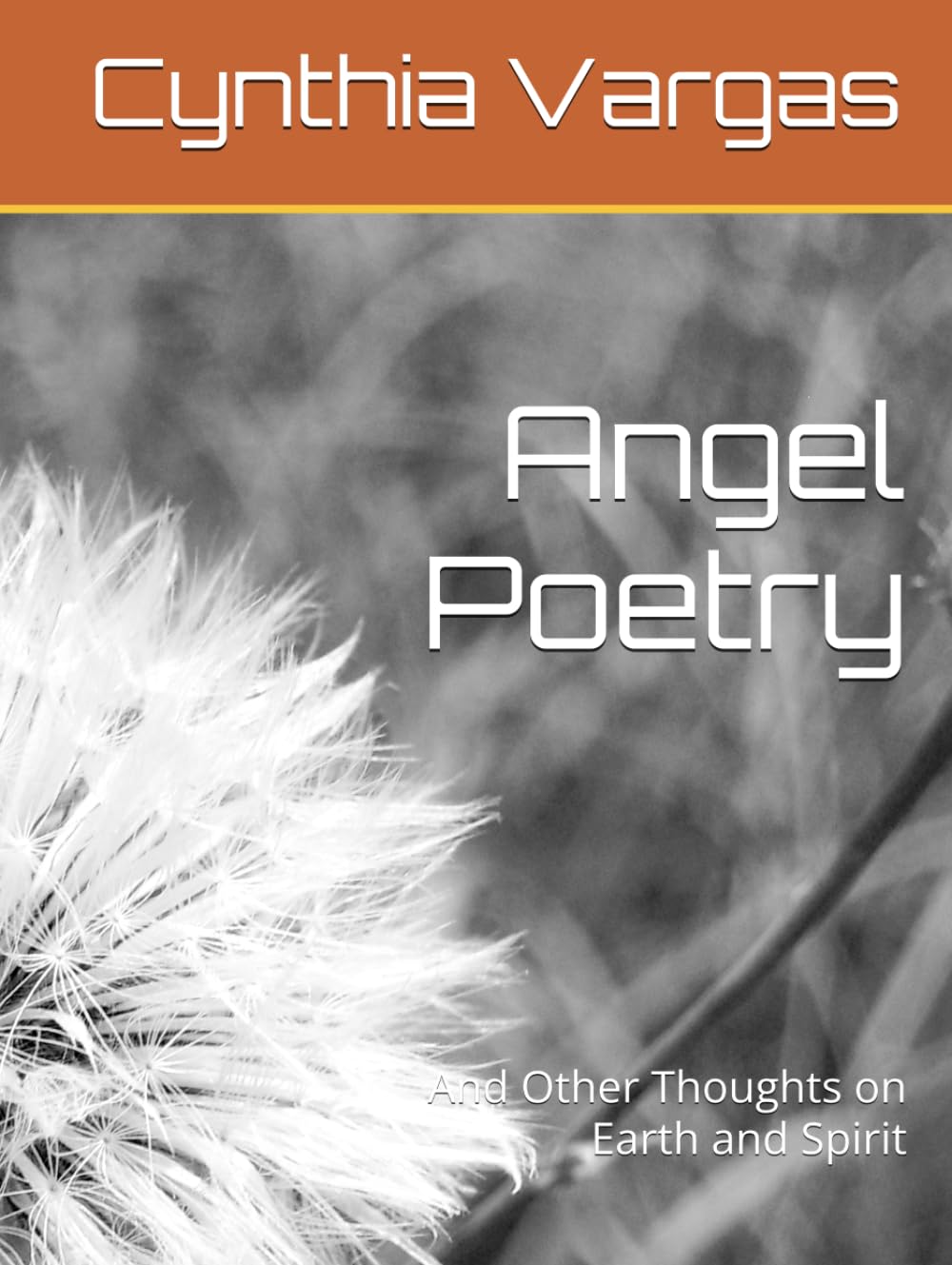 Angel Poetry: And Other Thoughts on Earth and Spirit