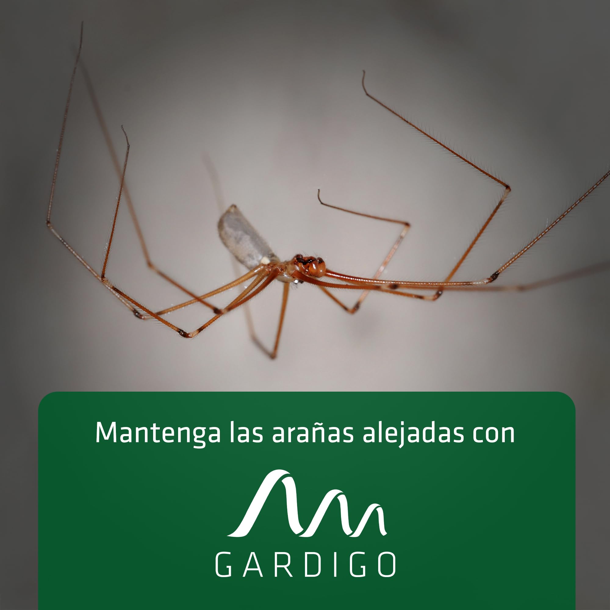 GARDIGO® 2X Repelentes para Arañas por Ultrasonidos | Antitelarañas, Ahuyentador de Arañas de Interior | 25 m² - 27 kHz | Antiarañas, Repelente Ultrasonico de Plagas, Repelente Ultrasónico para Araña