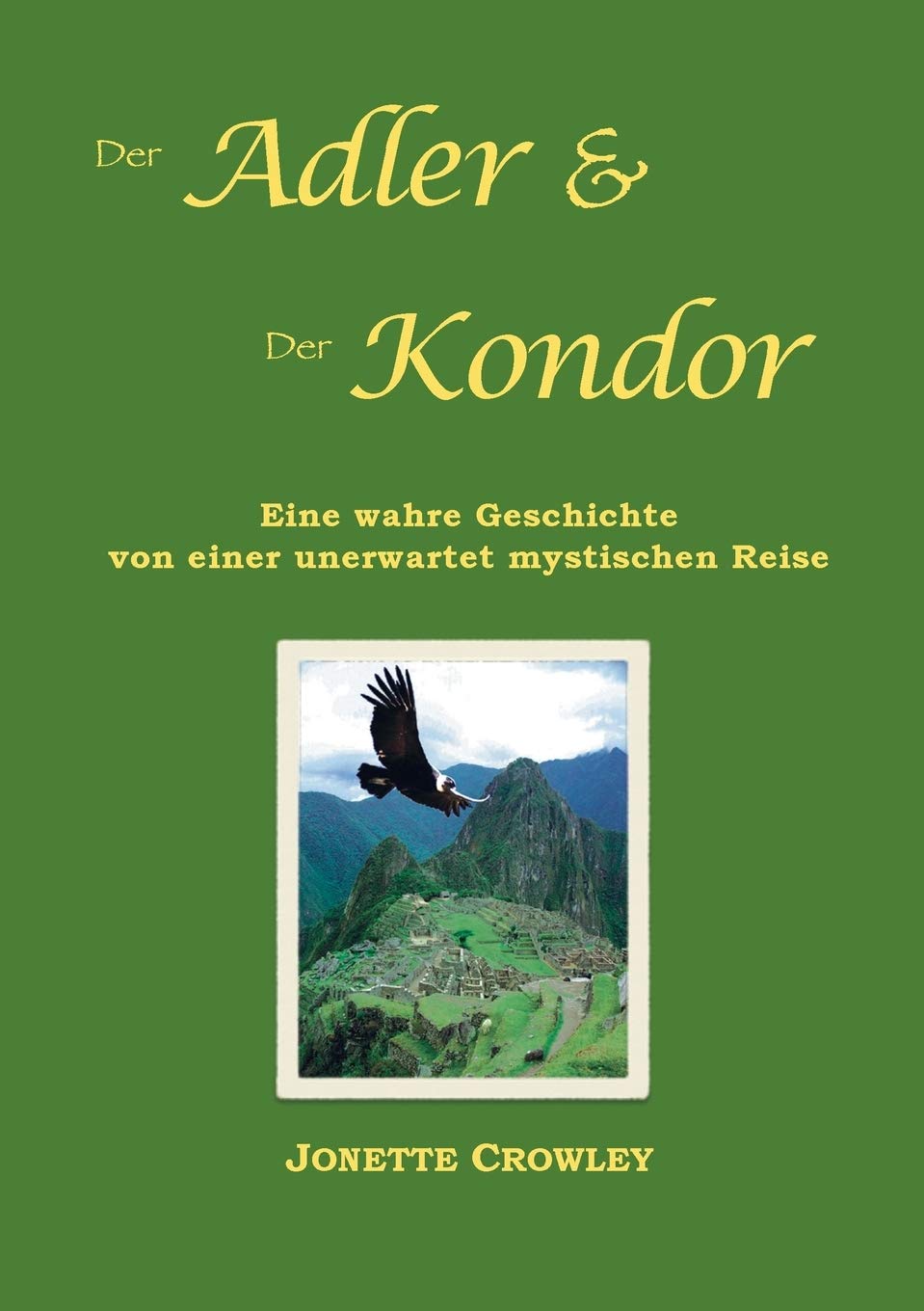 Der Adler und der Kondor: Eine wahre Geschichte von einer unerwartet mystischen Reise