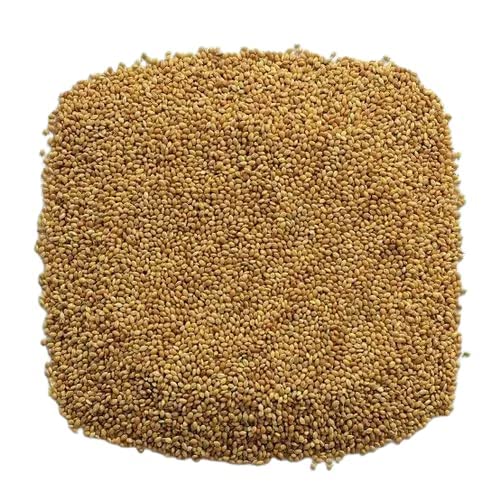 Veganic Foxtail Millet For Birds | Kangni Seed Bird Food | Food For Canaries, Finches, Waxbills, Budgies, Lovebirds, Cockatiels (200g) (B0B87SQDN3) Amazon Price History, Amazon Price Tracker
