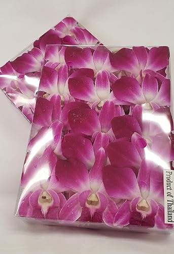 Orquídeas Dendrobium Moradas Frescas 100 ct. Flores Individuales.