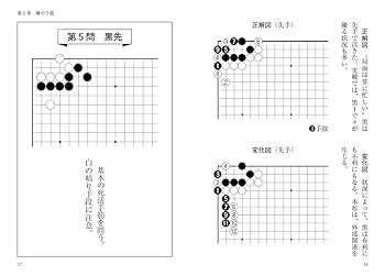 手筋大事典　日本棋院　囲碁　手筋　用語 書評・第18回 囲碁手筋大事典 - 白石勇一の囲碁日記